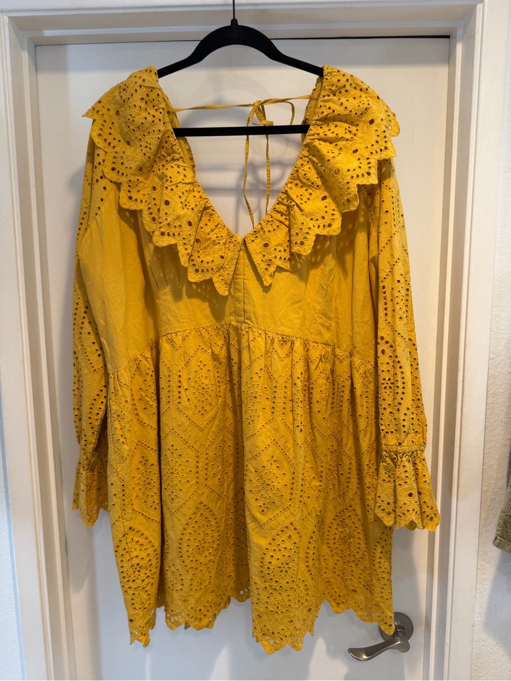 Eyelet Ruffle Long Sleeve Mini Dress